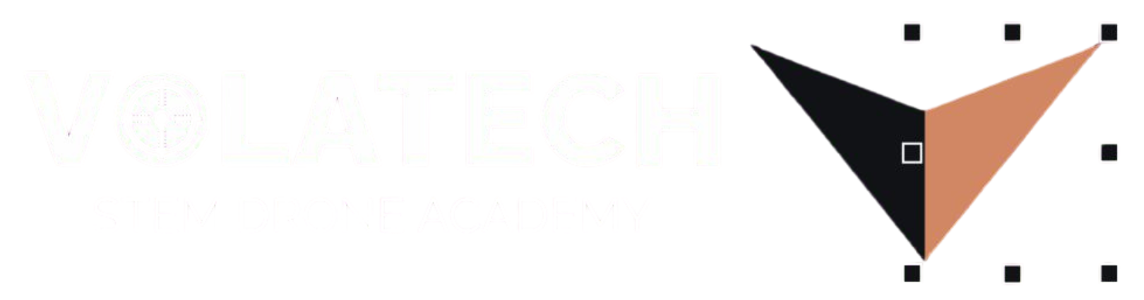 volatech logo no bg